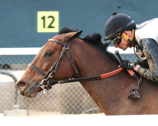 MAJESTIC OOPS - The American Beauty Stakes  - 02-13-26 - R08 - OP - Inside Finish 03 - Coady Media - Kurtis Coady Photography