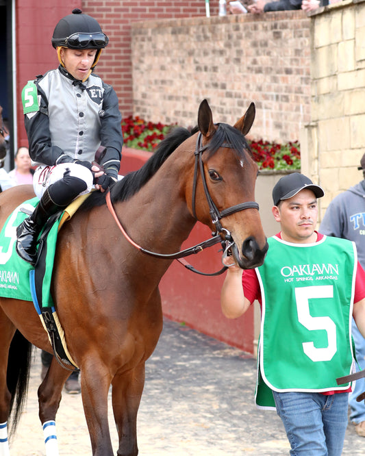 MAJESTIC OOPS - The American Beauty Stakes  - 02-13-26 - R08 - OP - Post Parade 03 - Coady Media - Kurtis Coady Photography