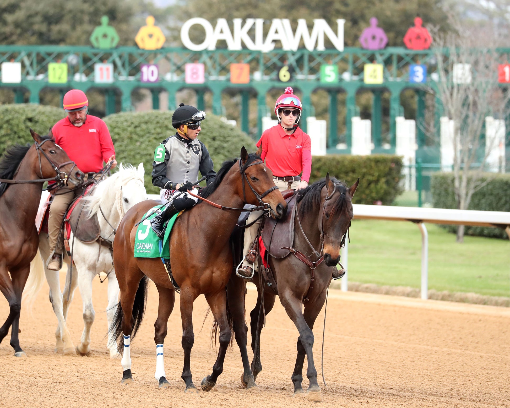 MAJESTIC OOPS - The American Beauty Stakes  - 02-13-26 - R08 - OP - Post Parade 04 - Coady Media - Kurtis Coady Photography