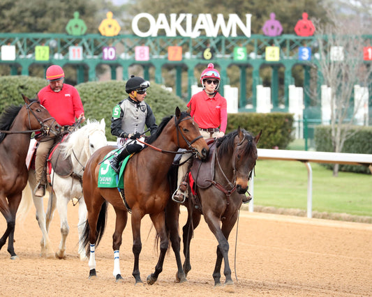 MAJESTIC OOPS - The American Beauty Stakes  - 02-13-26 - R08 - OP - Post Parade 04 - Coady Media - Kurtis Coady Photography