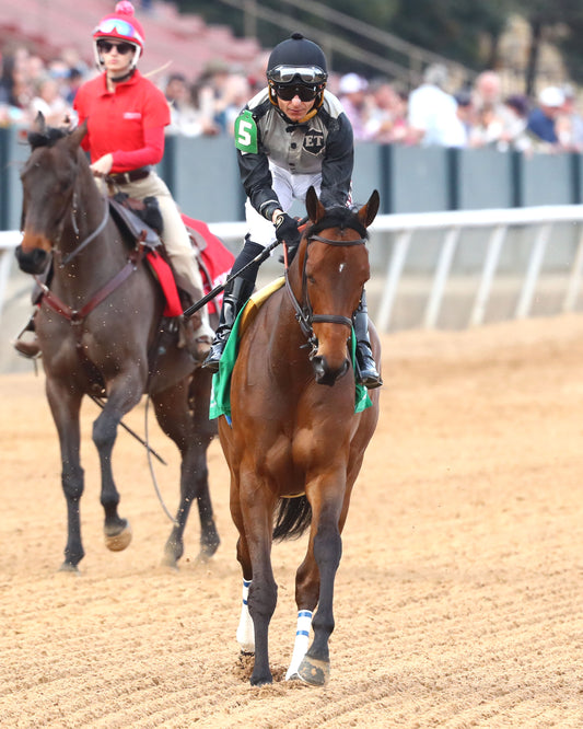 MAJESTIC OOPS - The American Beauty Stakes  - 02-13-26 - R08 - OP - Post Parade 05 - Coady Media - Kurtis Coady Photography