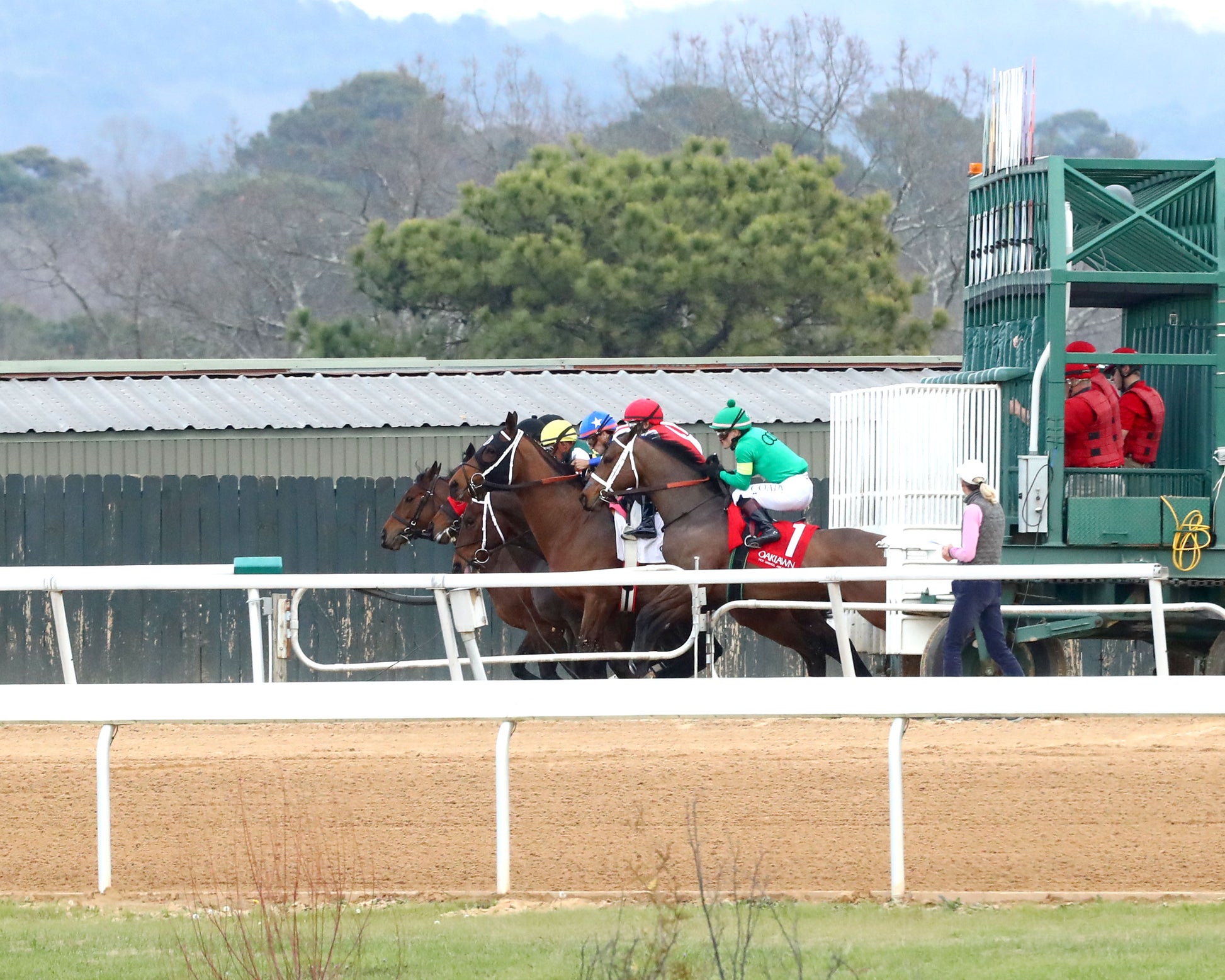 MAJESTIC OOPS - The American Beauty Stakes  - 02-13-26 - R08 - OP - Start 01 - Coady Media - Kurtis Coady Photography