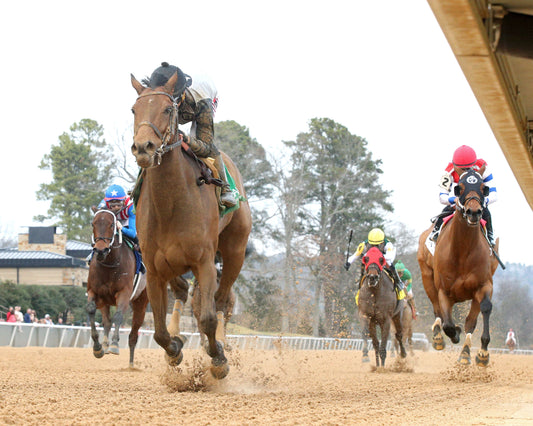MAJESTIC OOPS - The American Beauty Stakes  - 02-13-26 - R08 - OP - Under Rail 01 - Coady Media - Kurtis Coady Photography