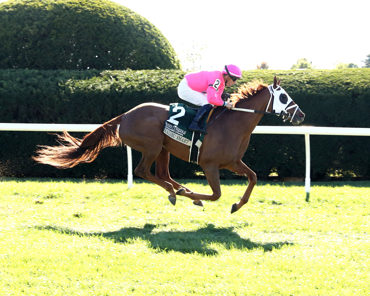 MALIBU SMART - The Rood & Riddle Dowager G3 - 10-18-26 - R07 - KEE - Finish 01