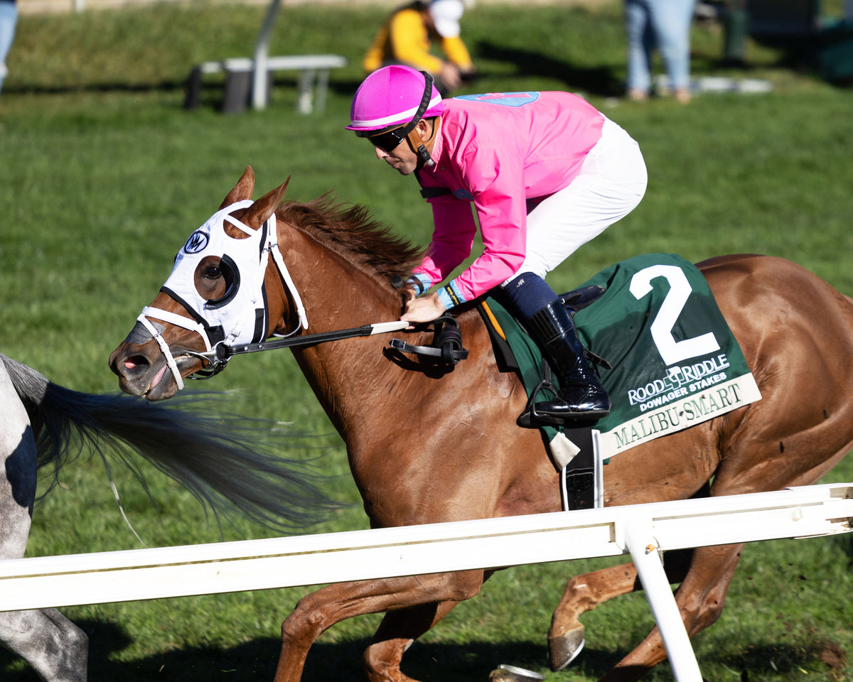 MALIBU SMART - The Rood & Riddle Dowager G3 - 10-18-26 - R07 - KEE - First Pass 01