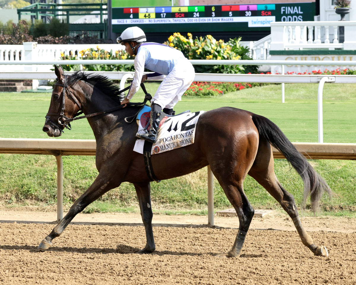 MANUKA HONEY - 091226 - Race 08 - CD - Come Back 01