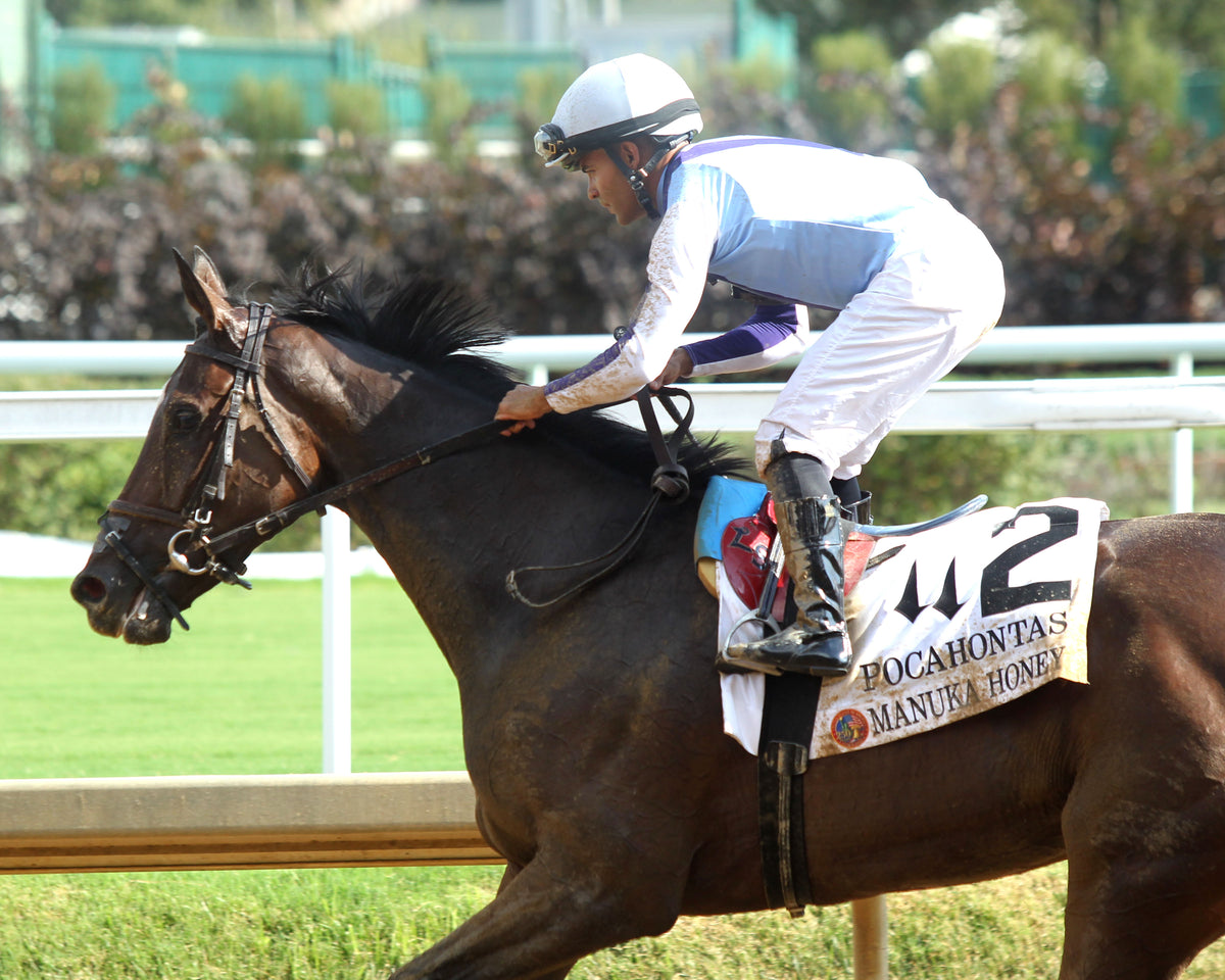MANUKA HONEY - 091226 - Race 08 - CD - Come Back 02