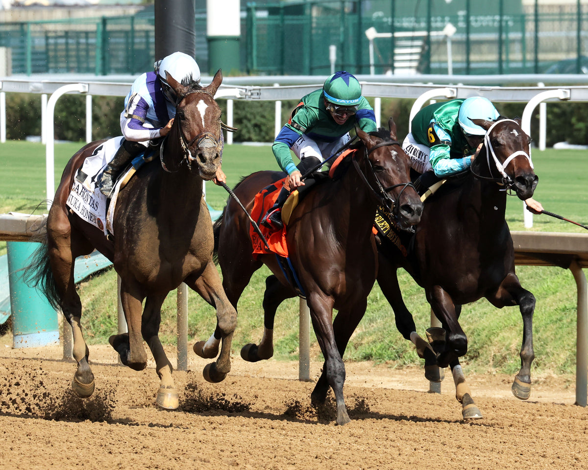 MANUKA HONEY - 091226 - Race 08 - CD - Finish 02
