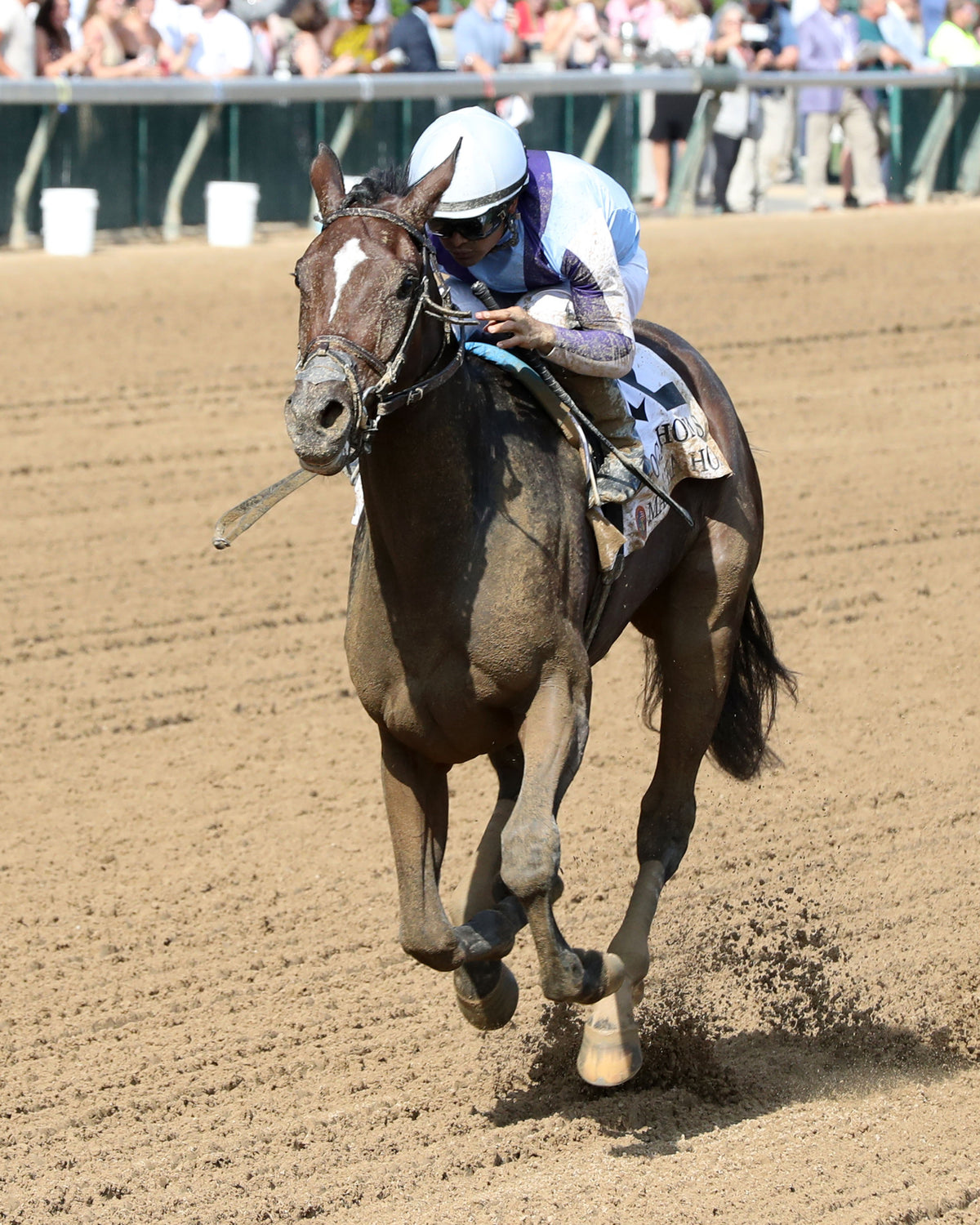 MANUKA HONEY - 091226 - Race 08 - CD - Finish Inside 01