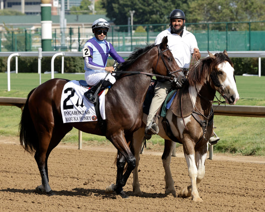 MANUKA HONEY - 091226 - Race 08 - CD - Post Parede 01