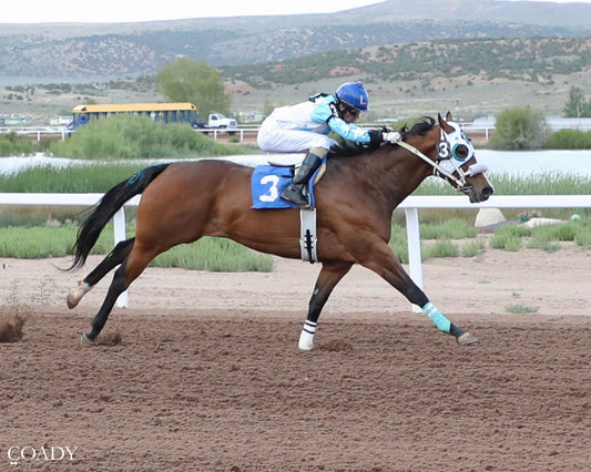 MARFASON - AQHA 870 Challenge Trials  - 07-02-26 - R09 - WYO