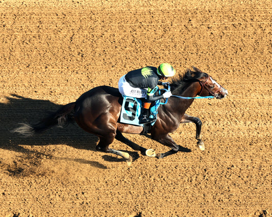 MAXIMUM BOURBON - The St. Matthews Overnight Stakes - 04-30-26 - R10 - CD - Aerial Finish 01 - Coady Media - Kurtis Coady Photography