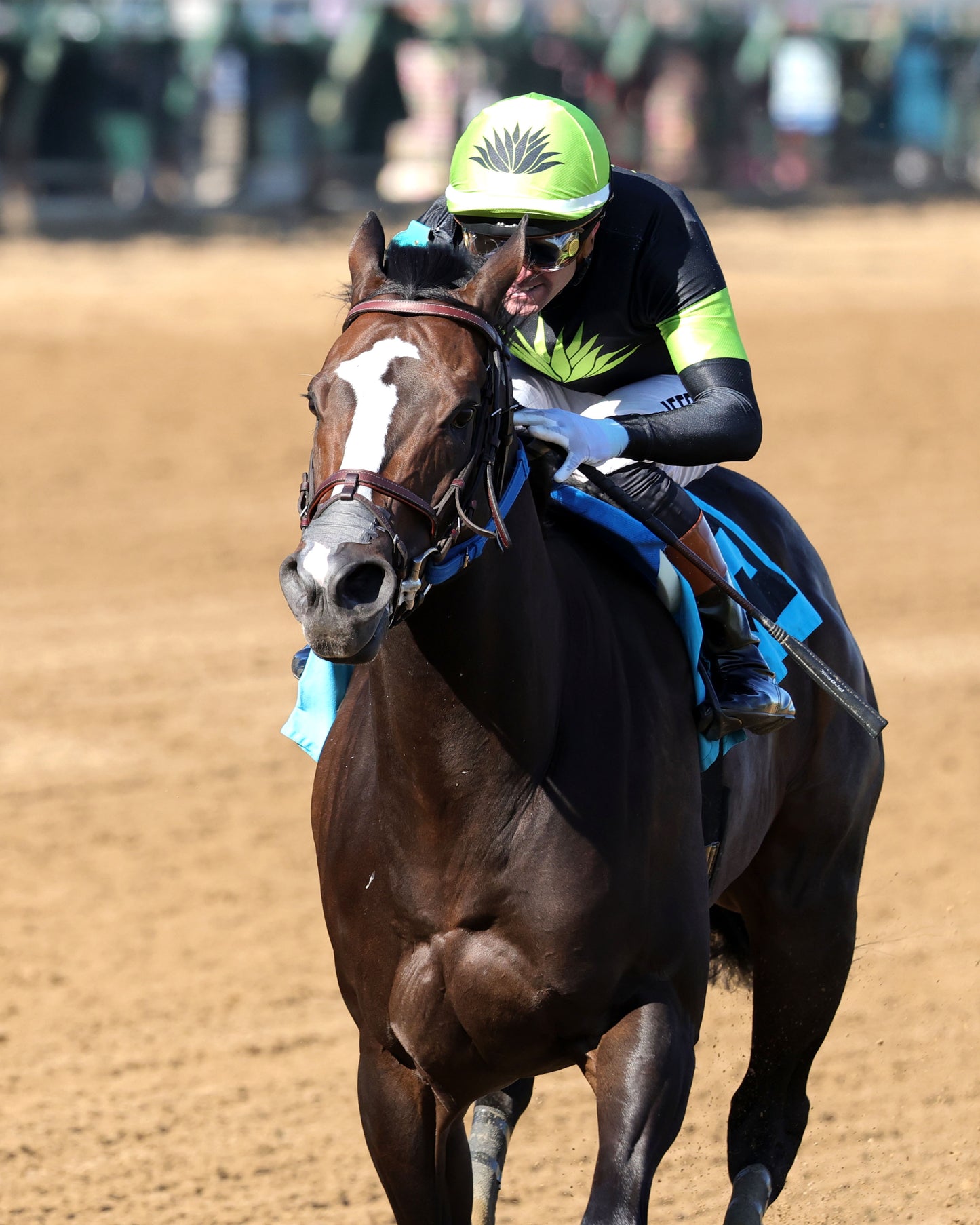 MAXIMUM BOURBON - The St. Matthews Overnight Stakes - 04-30-26 - R10 - CD - Inside Finish 03 - Coady Media - Kurtis Coady Photography