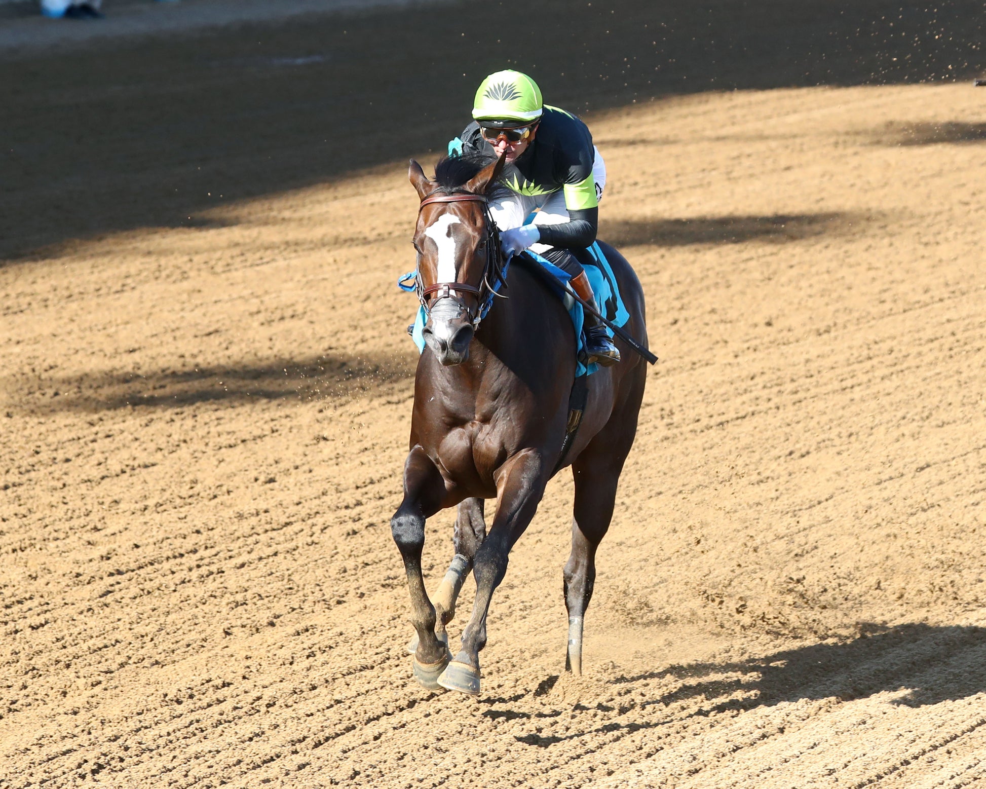 MAXIMUM BOURBON - The St. Matthews Overnight Stakes - 04-30-26 - R10 - CD - Inside Finish 04 - Coady Media - Kurtis Coady Photography