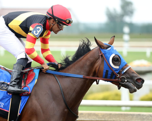 MAXIMUM OFFER - Indiana Oaks - 32nd Running - G3 - 07-11-26 - R11 - Horseshoe Indiana - Gallop Out 01 - Cady Coulardot