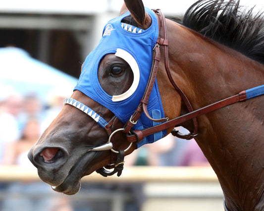MAXIMUM OFFER - Indiana Oaks - 32nd Running - G3 - 07-11-26 - R11 - Horseshoe Indiana - Inside Finish 03 - Renee Torbit