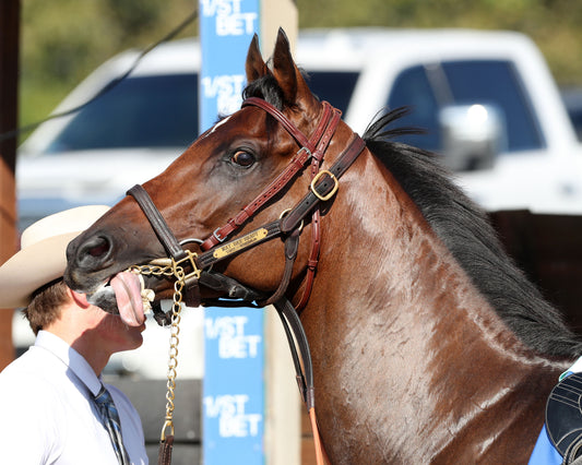 MAY DAY READY - The One Dreamer - 09-06-26 - R08 - KD - Paddock 01