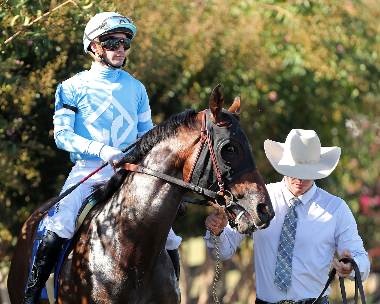MAY DAY READY - The One Dreamer - 09-06-26 - R08 - KD - Paddock 03