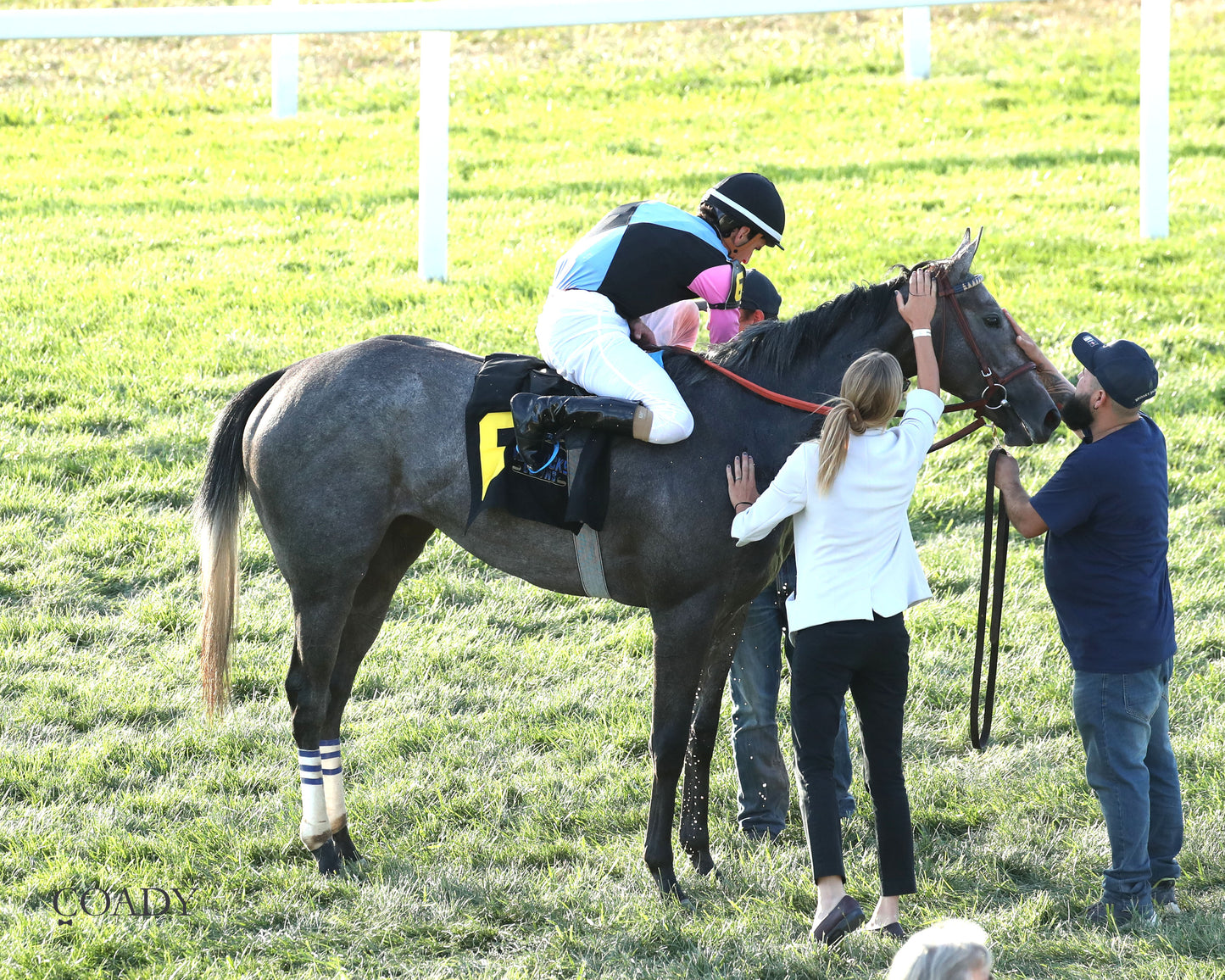 MERINGUE - The Kentucky Downs Juvenile Fillies - 08-31-25 - R11 - KD - Come Back 01 - Coady Media - Kurtis Coady Photography