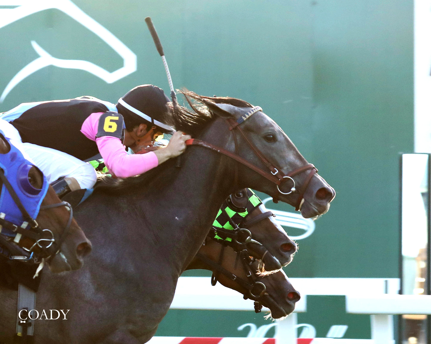 MERINGUE - The Kentucky Downs Juvenile Fillies - 08-31-25 - R11 - KD - Finish 02 - Coady Media - Kurtis Coady Photography