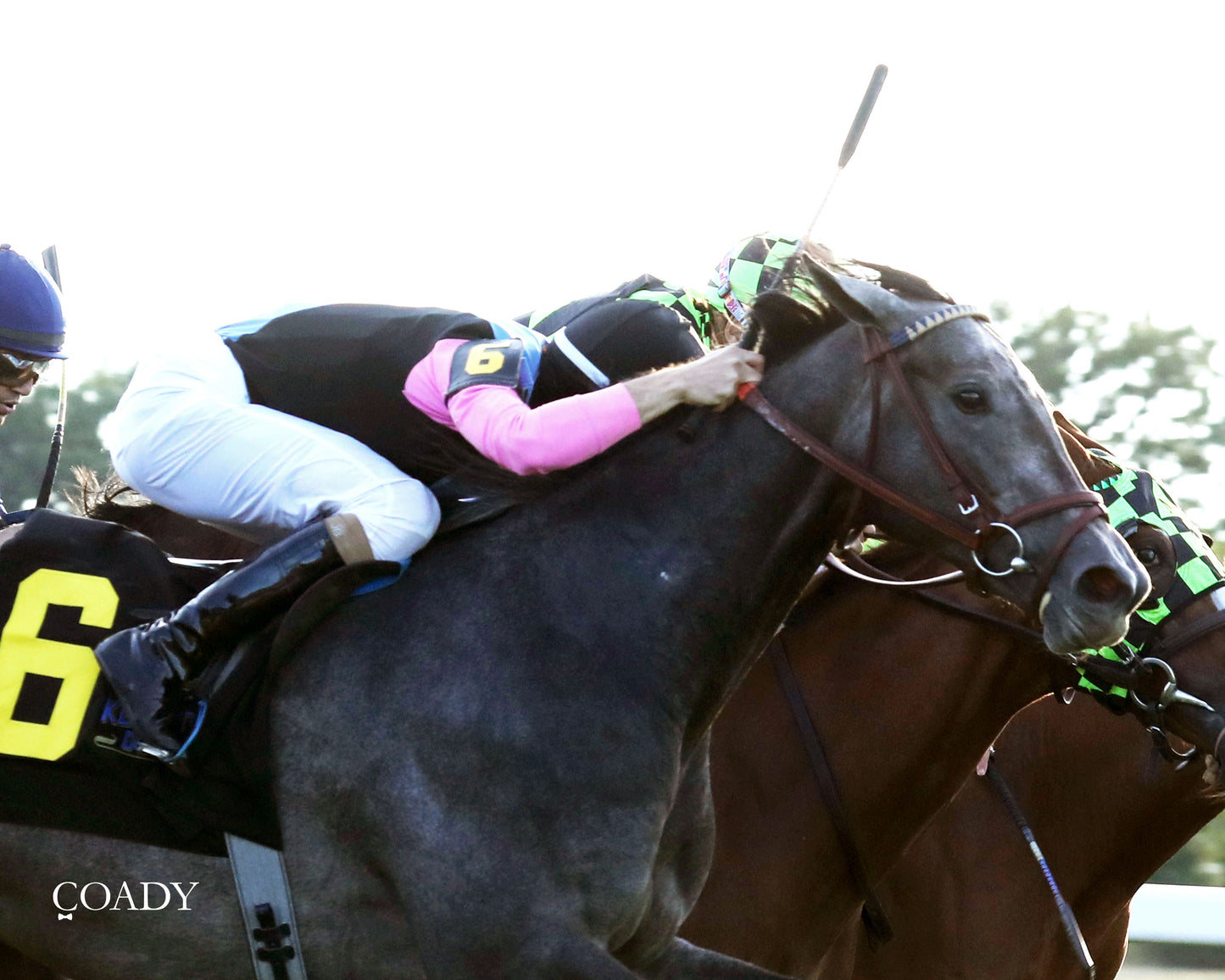MERINGUE - The Kentucky Downs Juvenile Fillies - 08-31-25 - R11 - KD - Finish 03 - Coady Media - Kurtis Coady Photography