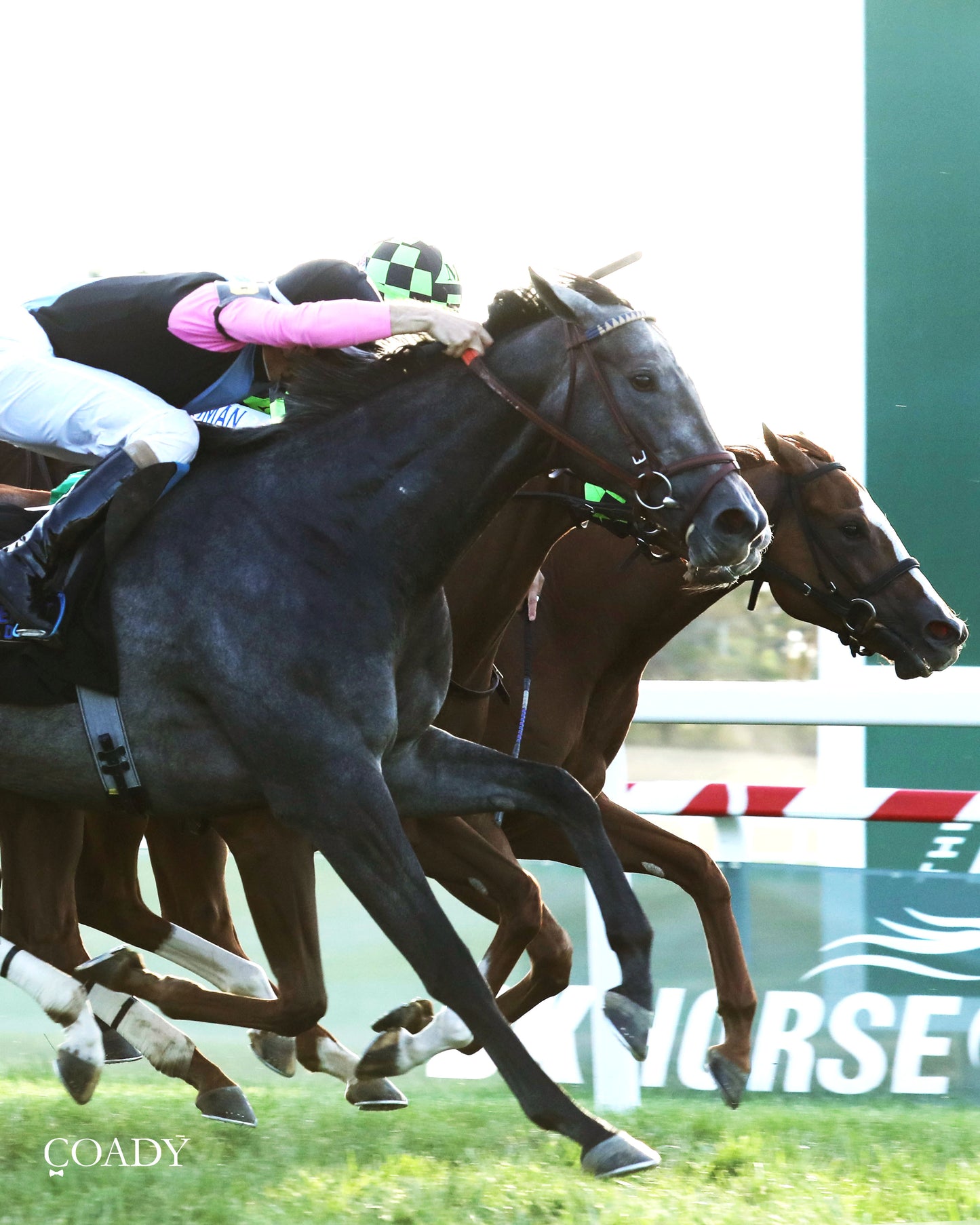 MERINGUE - The Kentucky Downs Juvenile Fillies - 08-31-25 - R11 - KD - Finish 05 - Coady Media - Kurtis Coady Photography