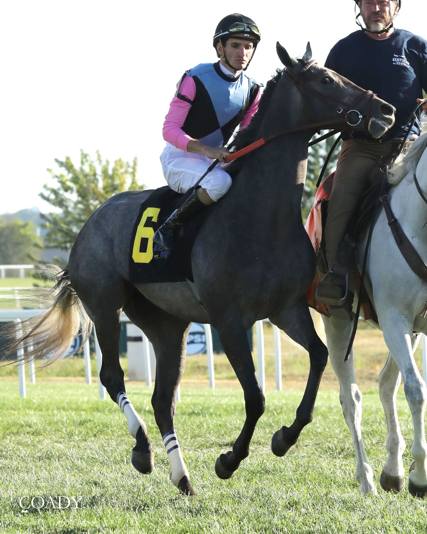 MERINGUE - The Kentucky Downs Juvenile Fillies - 08-31-25 - R11 - KD - Post Parade 01 - Coady Media - Kurtis Coady Photography