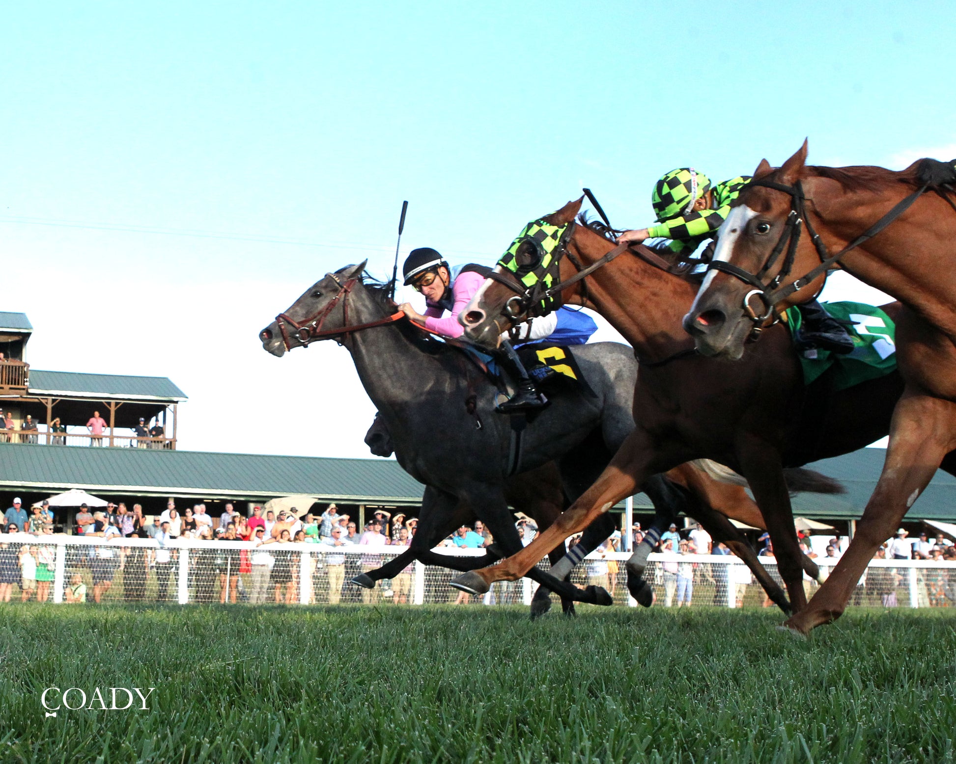 MERINGUE - The Kentucky Downs Juvenile Fillies - 08-31-25 - R11 - KD - Under Rail 03 - Coady Media - Kurtis Coady Photography