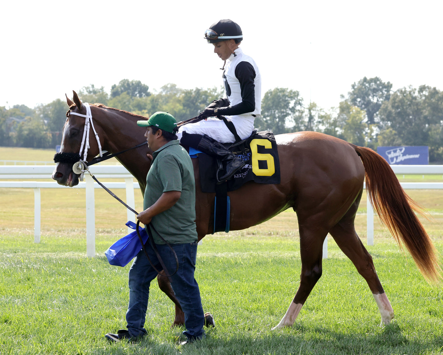 MID AMERICAN - 082926 - Race 06 - KD Kentucky Downs Juvenile Sprint - Come Back 03