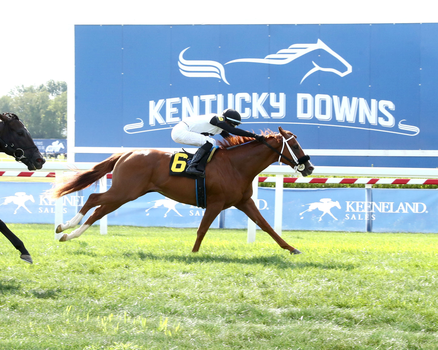 MID AMERICAN - 082926 - Race 06 - KD Kentucky Downs Juvenile Sprint - Finish 01