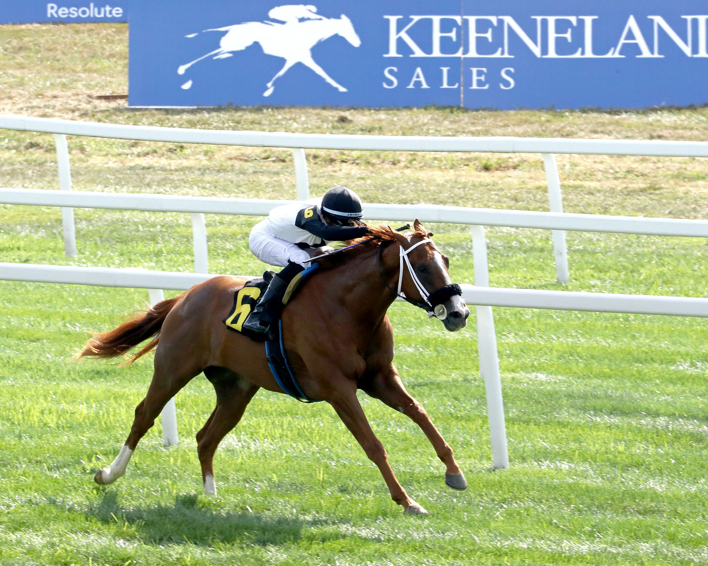 MID AMERICAN - 082926 - Race 06 - KD Kentucky Downs Juvenile Sprint - Finish 06