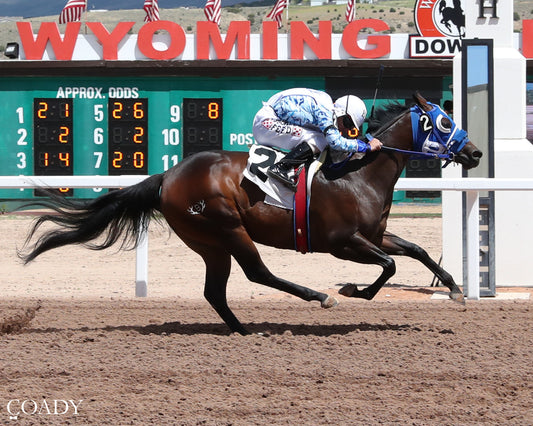 MISS RELENTLESS - 307HR Open QH Derby - 06-21-26 - R05 - WYO