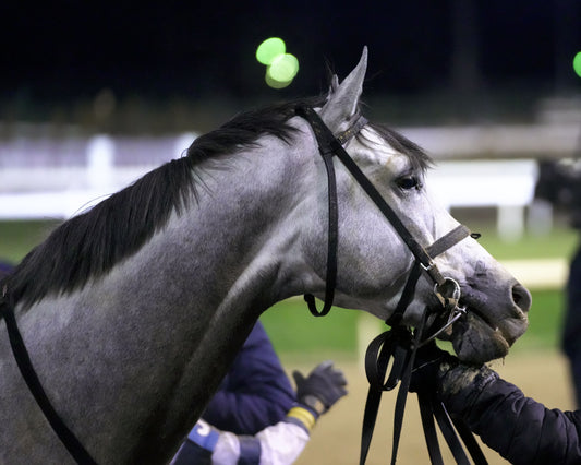 MOONLIGHT - The Cherokee Mile - 11-30-25 - R11 - CD - Come Back 04