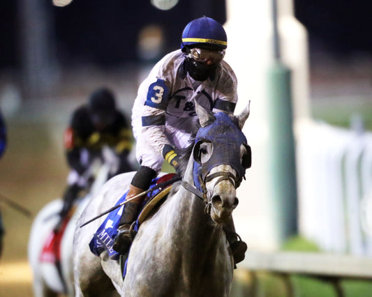 MOONLIGHT - The Cherokee Mile - 11-30-25 - R11 - CD - Gallop Out 03