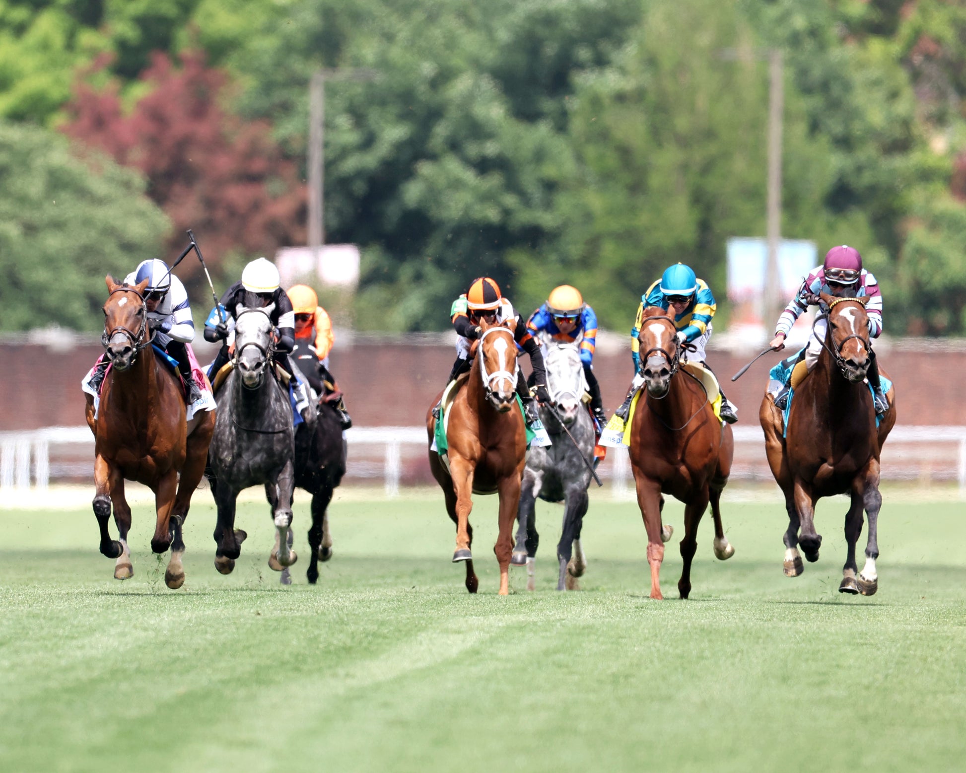 MOON SPUN - 050126 - Race 07 - CD - Head On 01 - Coady Media - Kurtis Coady Photography