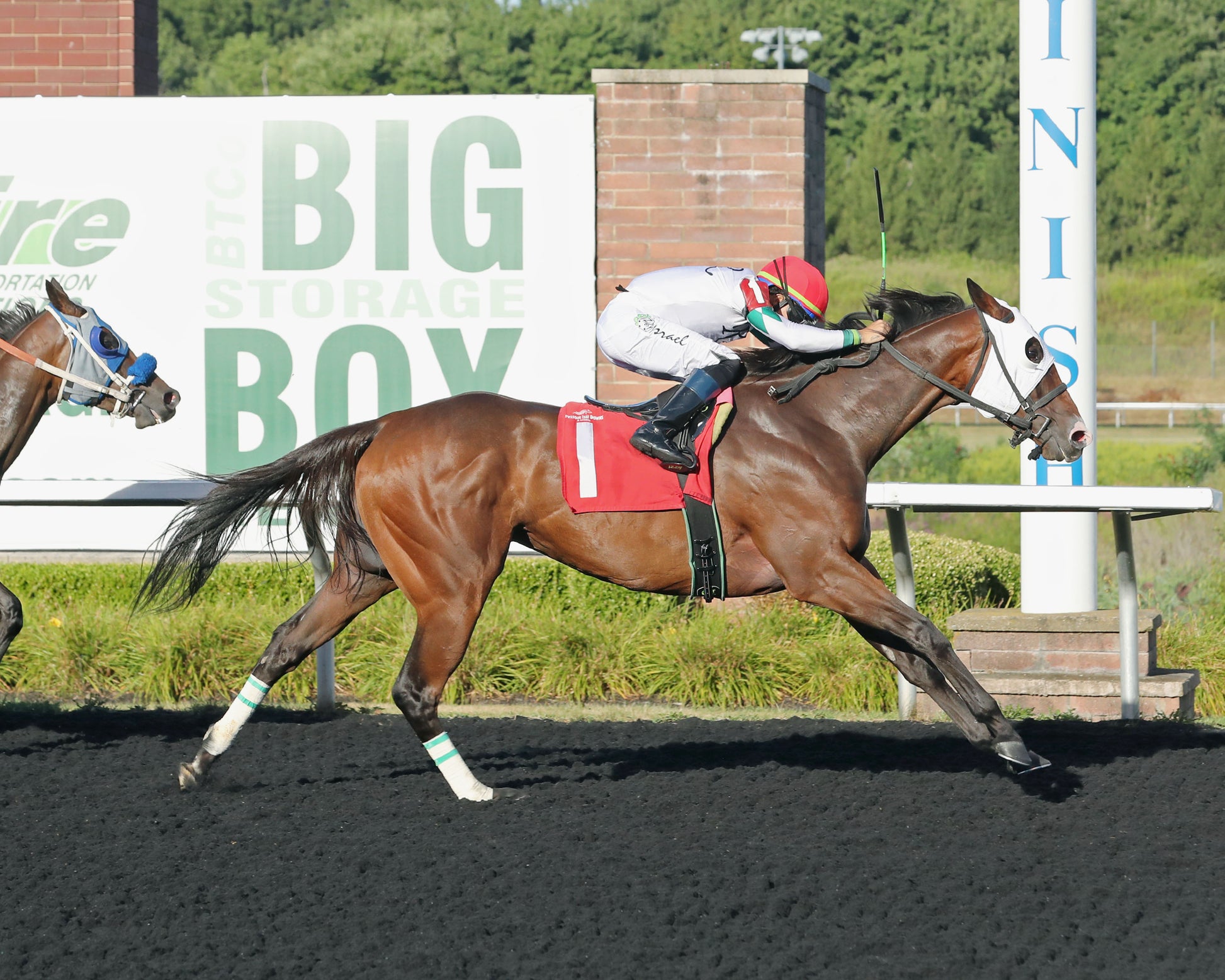 MS. TART - The Satin And Lace Stakes - 08-18-25 - R07 - Finish - Coady Media - Kurtis Coady Photography