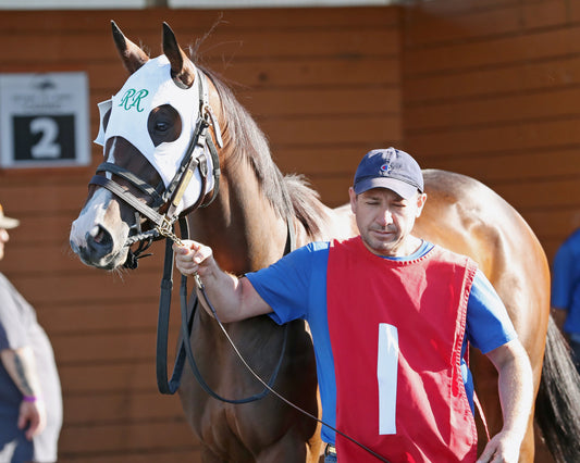MS. TART - The Satin And Lace Stakes - 08-18-25 - R07 - Paddock 03 - Coady Media - Kurtis Coady Photography