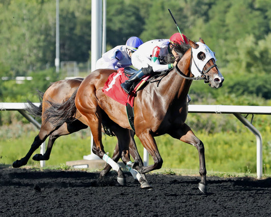 MS. TART - The Satin And Lace Stakes - 08-18-25 - R07 - Tight Finish - Coady Media - Kurtis Coady Photography