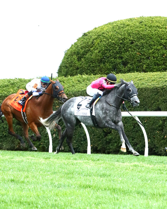 MY BOY PRINCE - 040426 - Race 10 - KEE - Finish 05 - Coady Media - Kurtis Coady Photography
