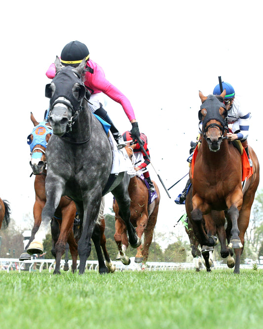 MY BOY PRINCE - 040426 - Race 10 - KEE - Under Rail 02 - Coady Media - Kurtis Coady Photography