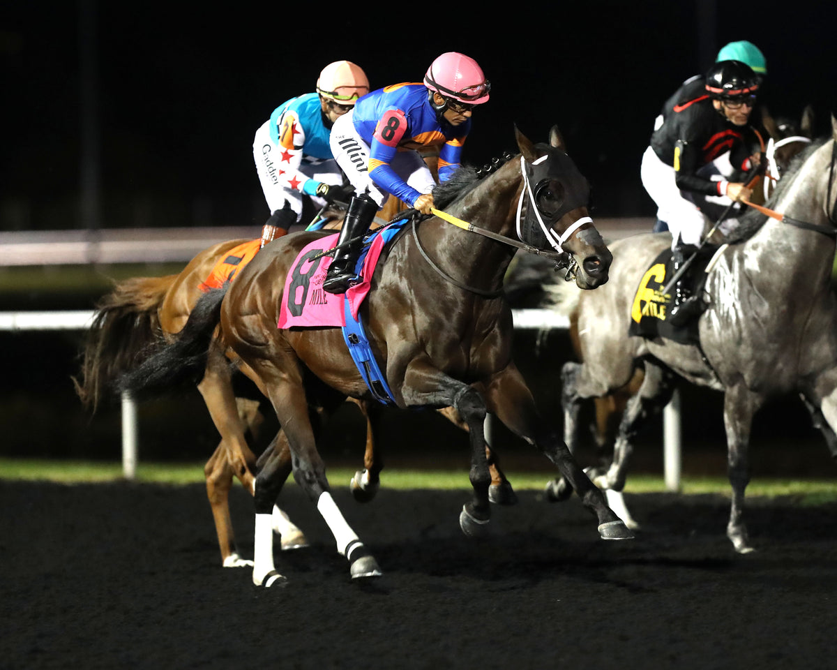 NEOEQUOS - The Presque Isle Mile - 09-18-26 - R08 - PID - First Pass