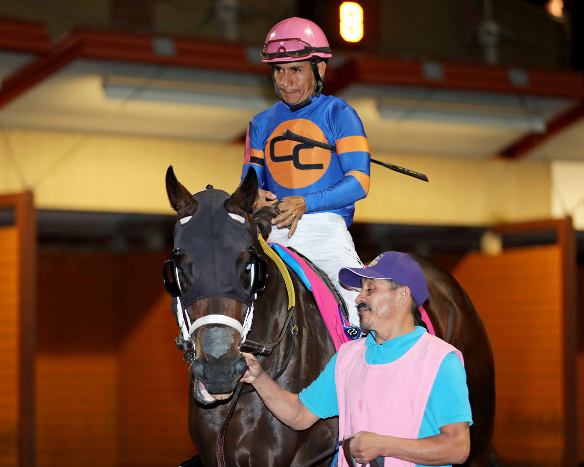 NEOEQUOS - The Presque Isle Mile - 09-18-26 - R08 - PID - Paddock 01