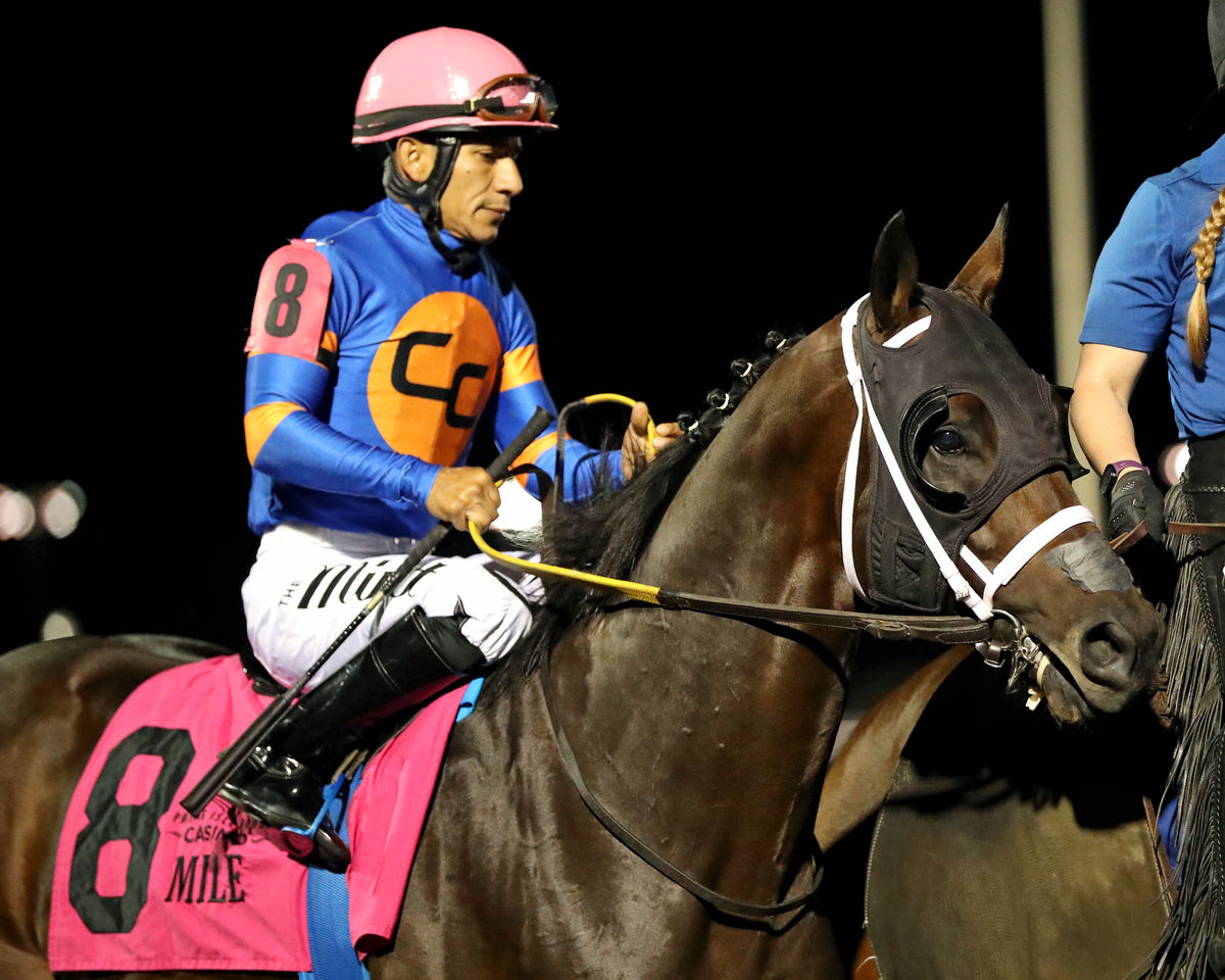 NEOEQUOS - The Presque Isle Mile - 09-18-26 - R08 - PID - Post Parade 01