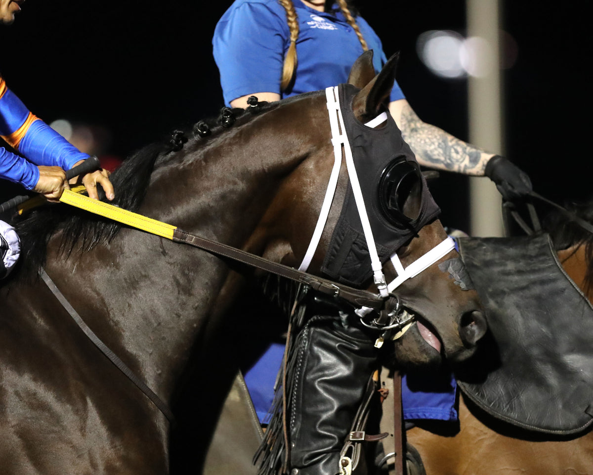 NEOEQUOS - The Presque Isle Mile - 09-18-26 - R08 - PID - Post Parade 02