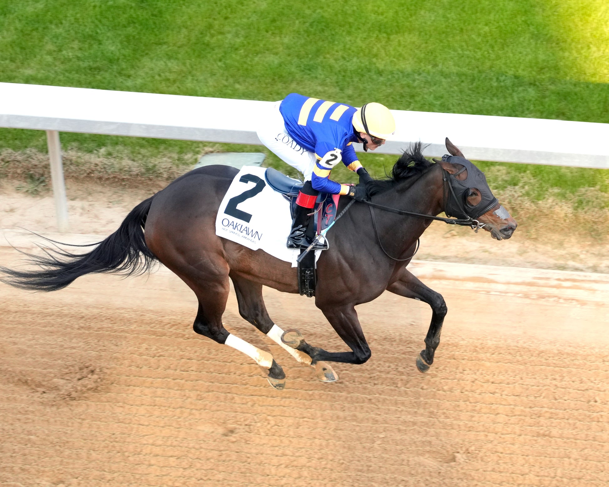 NERAZURRI - 022726 - Race 08 - The Trivista Overnight Stakes - OP - Aerial Finish 01 - Coady Media - Kurtis Coady Photography
