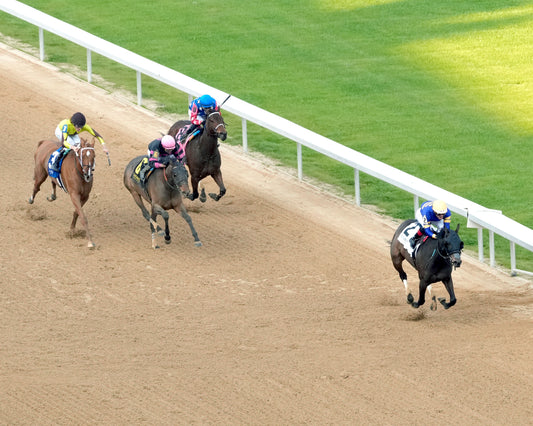 NERAZURRI - 022726 - Race 08 - The Trivista Overnight Stakes - OP - Aerial Finish 02 - Coady Media - Kurtis Coady Photography