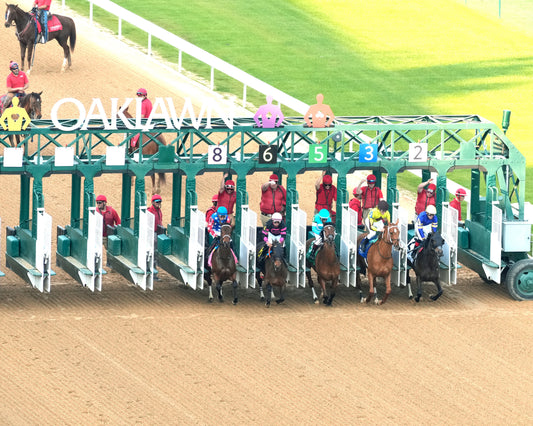 NERAZURRI - 022726 - Race 08 - The Trivista Overnight Stakes - OP - Aerial Start 01 - Coady Media - Kurtis Coady Photography