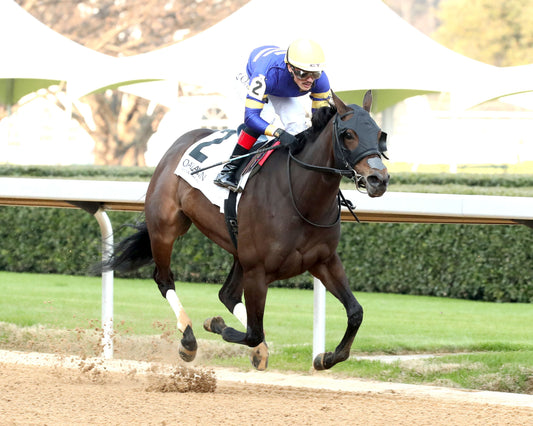 NERAZURRI - 022726 - Race 08 - The Trivista Overnight Stakes - OP - Finish 02 - Coady Media - Kurtis Coady Photography
