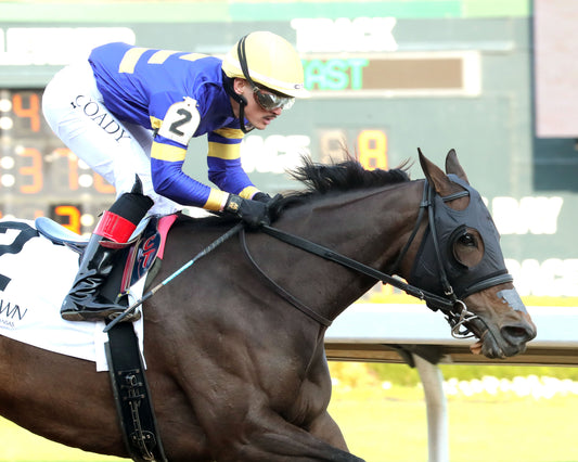 NERAZURRI - 022726 - Race 08 - The Trivista Overnight Stakes - OP - Finish 03 - Coady Media - Kurtis Coady Photography