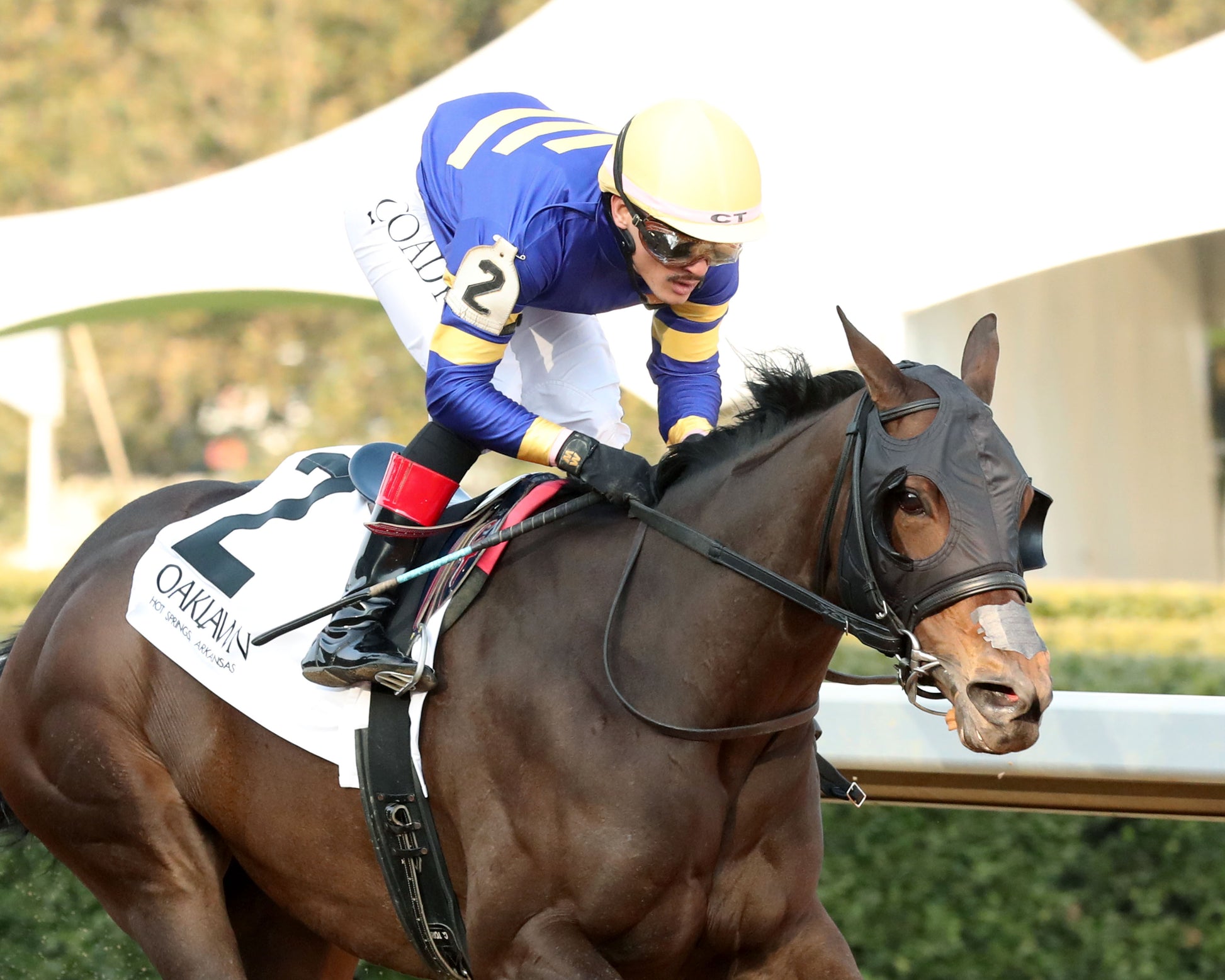 NERAZURRI - 022726 - Race 08 - The Trivista Overnight Stakes - OP - Finish 04 - Coady Media - Kurtis Coady Photography